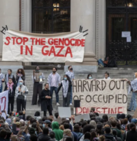 Did you know the pro-Hamas college protests are a “rich kid” movement?